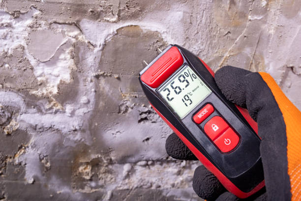 Best Kitchen Mold Remediation in Essex Village, CT